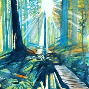 Watercolour by Tim Bennison, AFCA