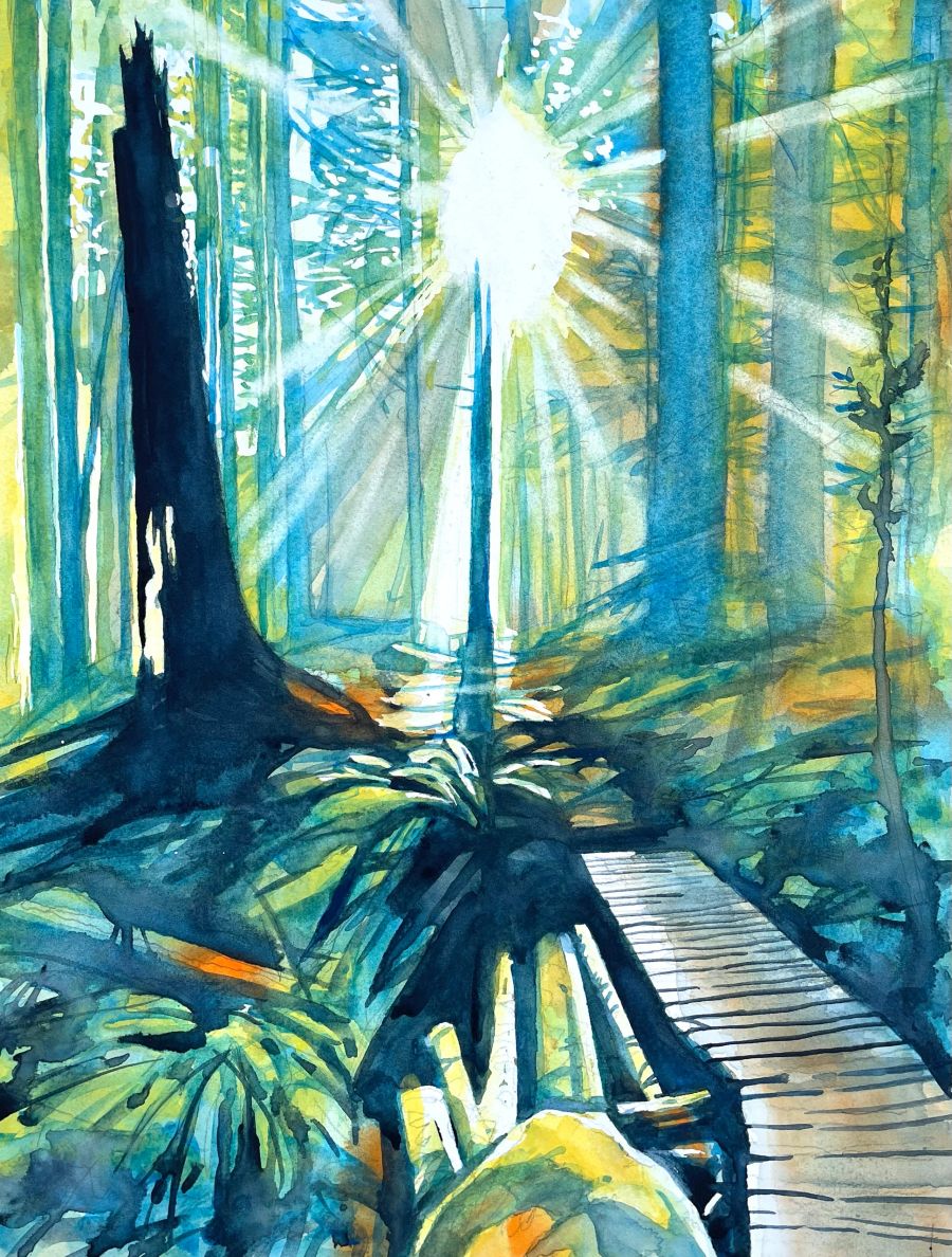 Watercolour by Tim Bennison, AFCA
