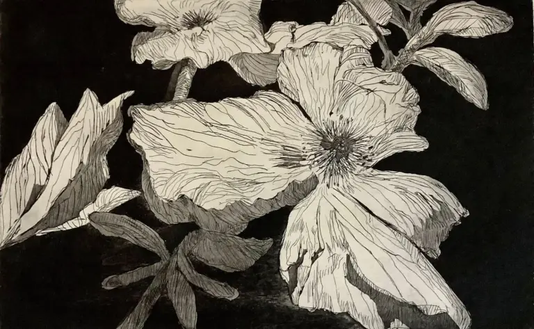 Seeded demo artwork for gallery testing